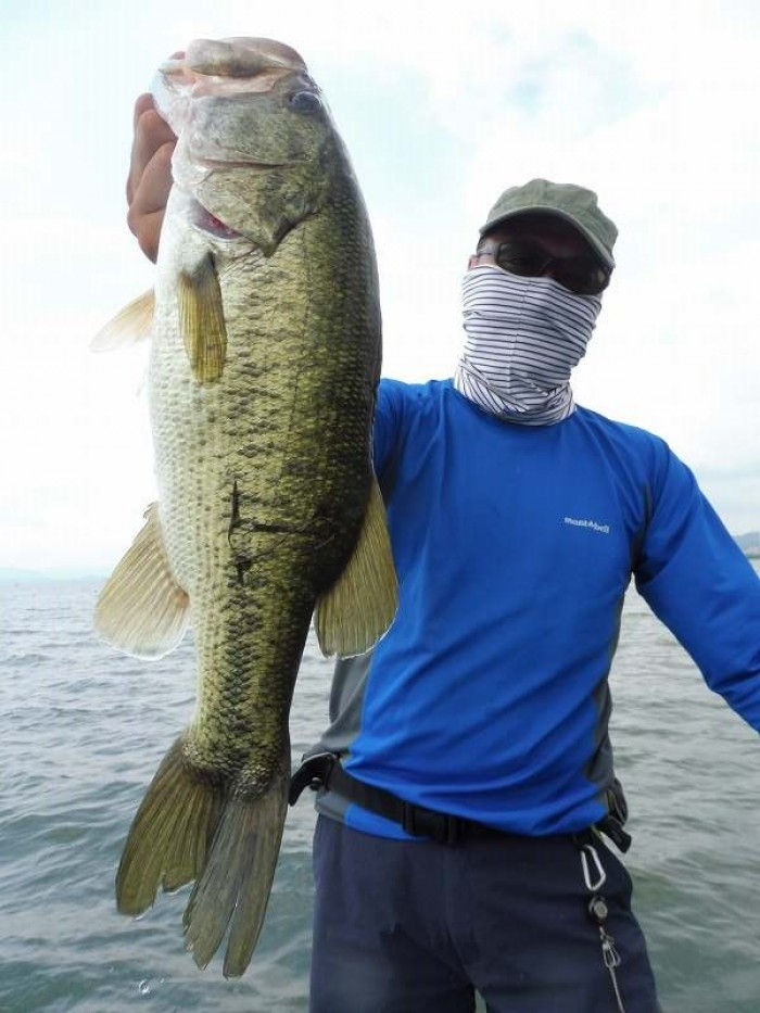 truth  ブログ写真 2017/07/18