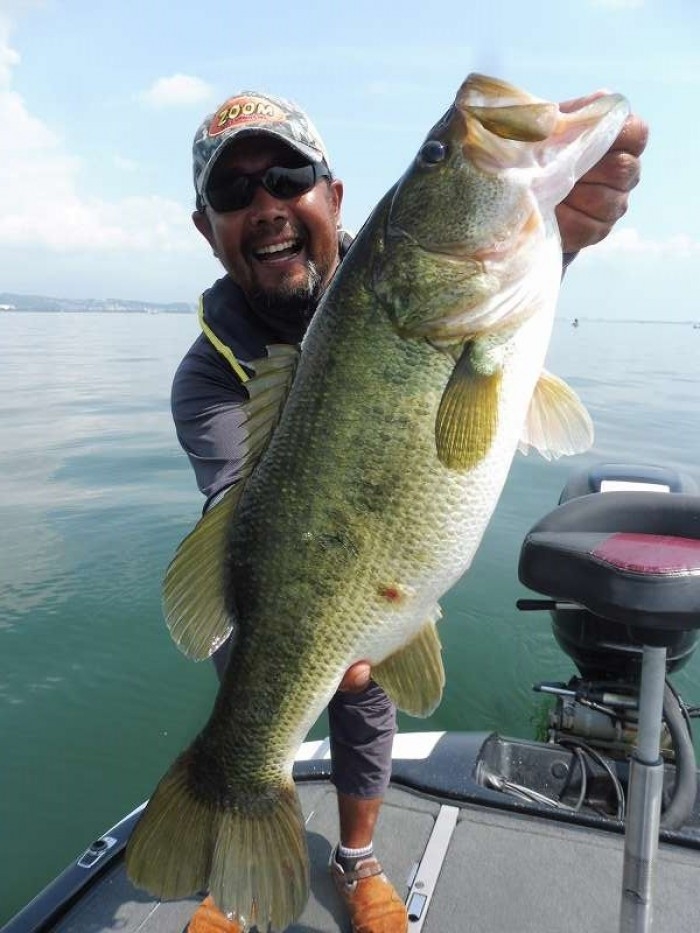 truth  ブログ写真 2017/07/19