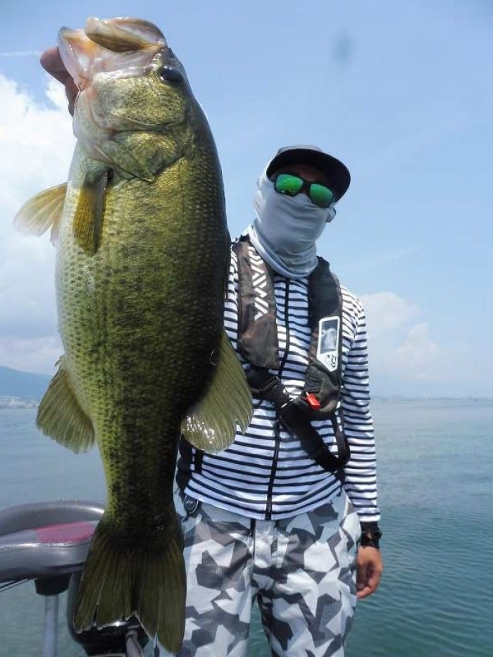 truth  ブログ写真 2017/07/19