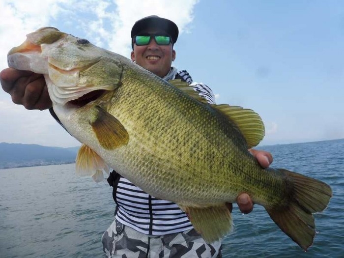 truth  ブログ写真 2017/07/19