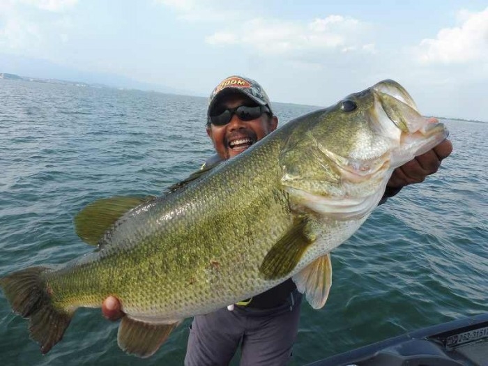 truth  ブログ写真 2017/07/19