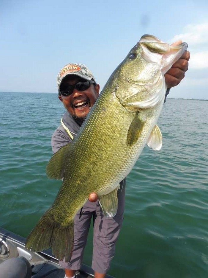 truth  ブログ写真 2017/07/19