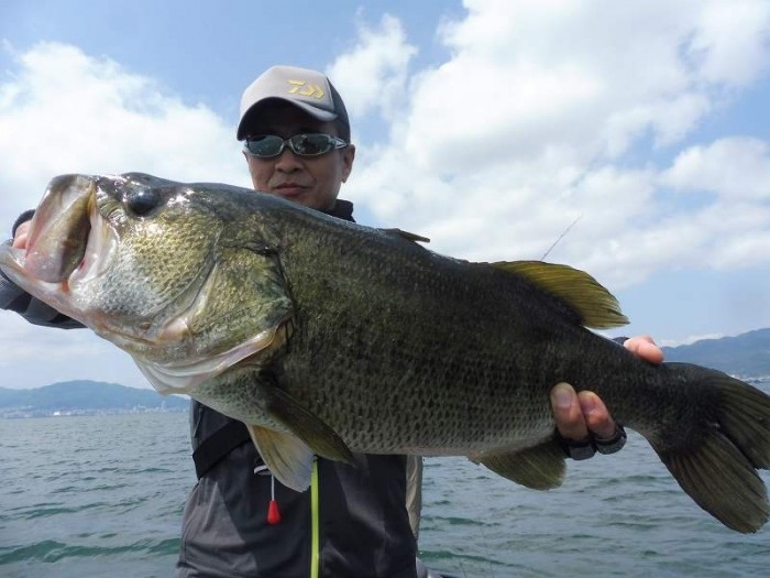 truth  ブログ写真 2017/07/20