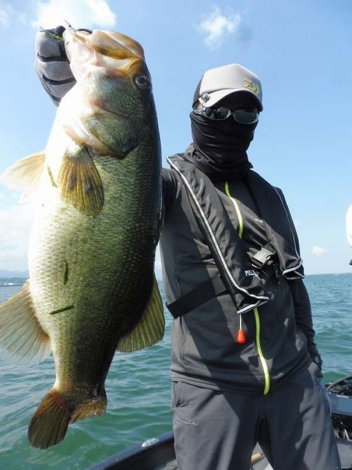 truth  ブログ写真 2017/07/20