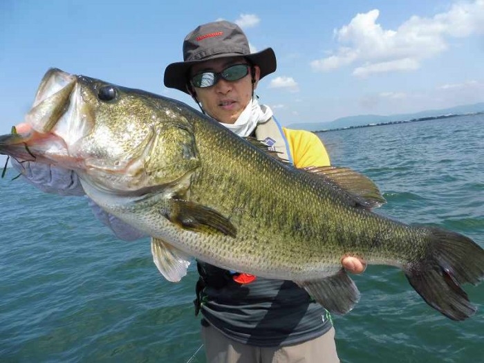 truth  ブログ写真 2017/07/20