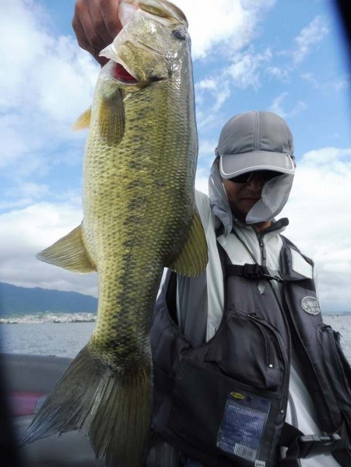 truth  ブログ写真 2017/07/21