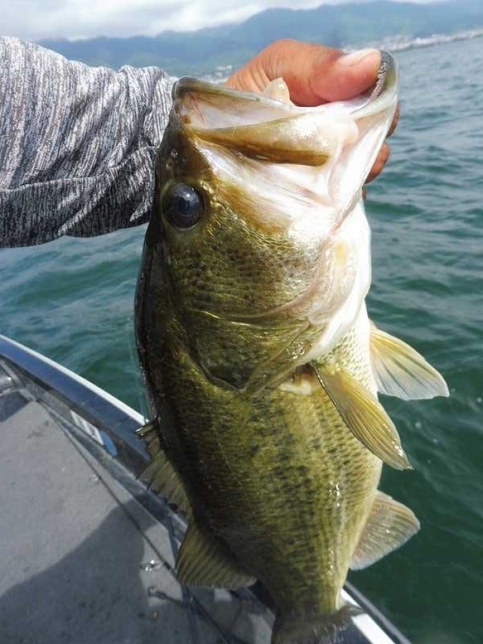 truth  ブログ写真 2017/07/21