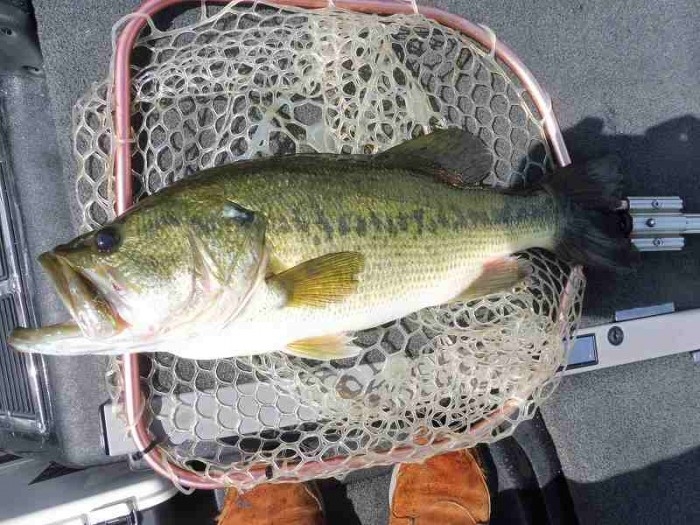 truth ブログ写真 2017/07/22