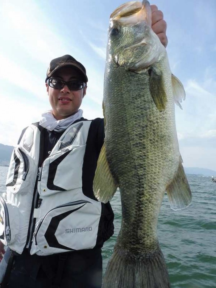 truth 繝悶Ο繧ー蜀咏悄 2017/07/22