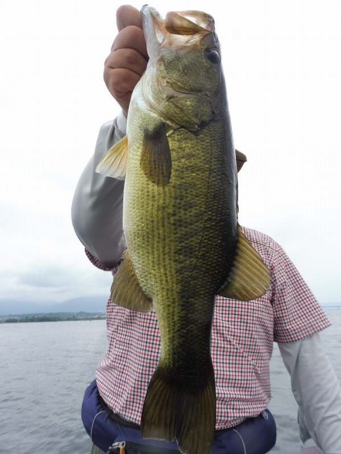 truth ブログ写真 2017/07/23