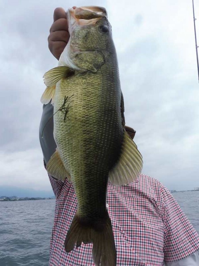 truth ブログ写真 2017/07/23