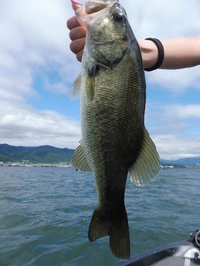 truth  ブログ写真 2017/07/26