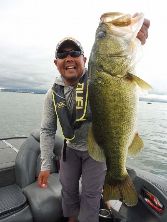 truth  ブログ写真 2017/07/26