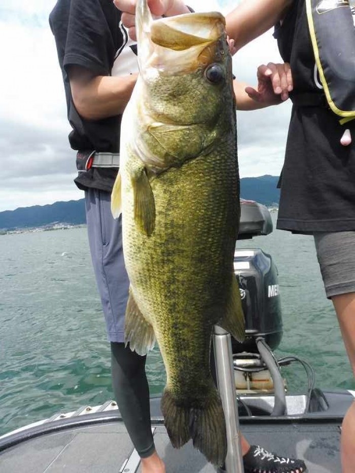 truth  ブログ写真 2017/07/26