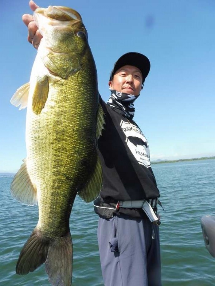 truth  ブログ写真 2017/07/26