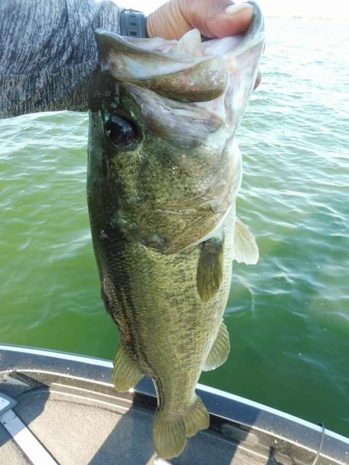 truth  ブログ写真 2017/07/26