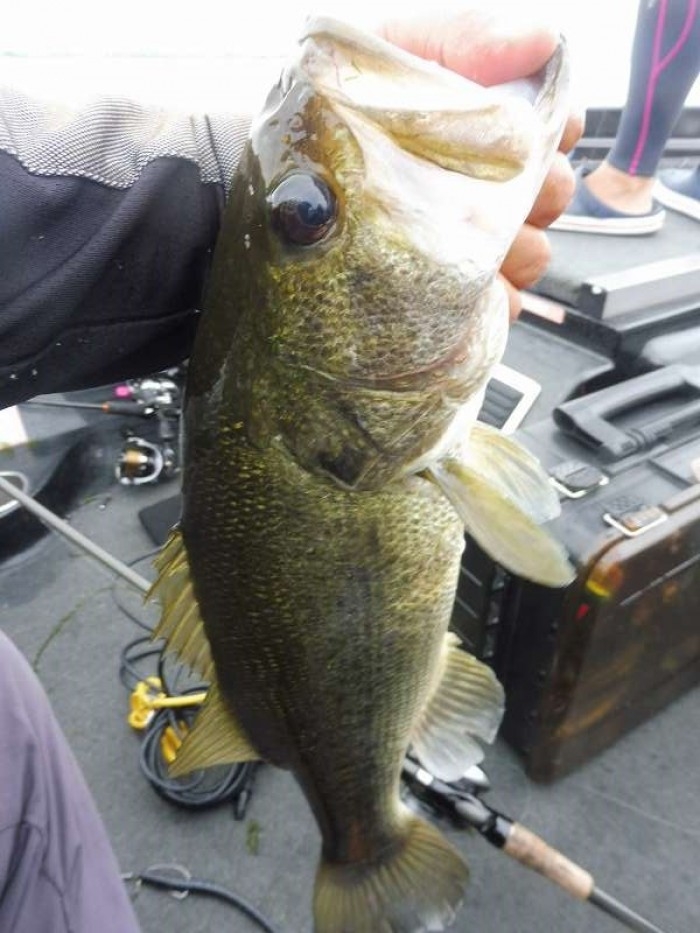 truth  ブログ写真 2017/07/27