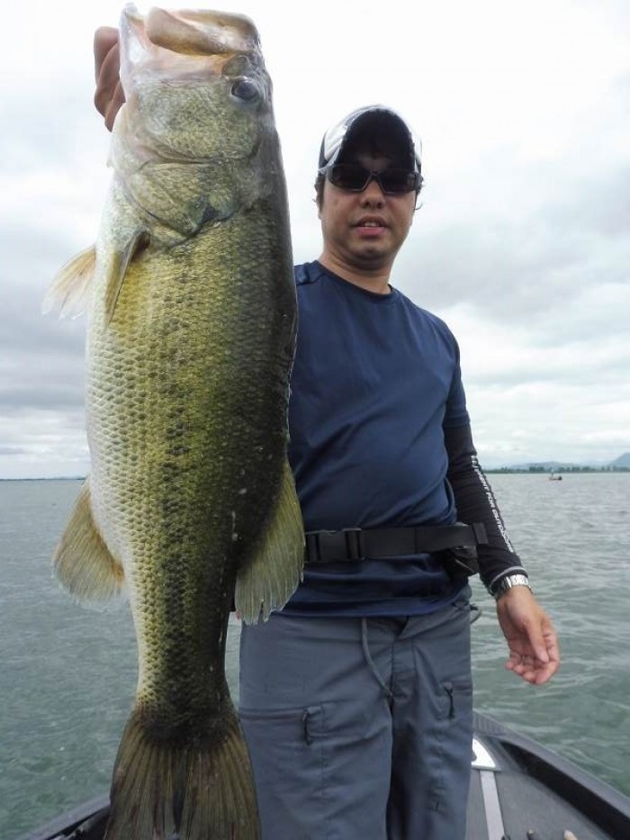 truth  ブログ写真 2017/07/27