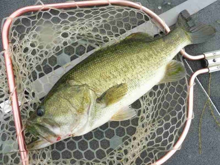 truth  ブログ写真 2017/07/27