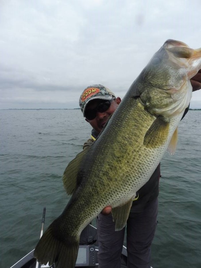 truth  ブログ写真 2017/07/27