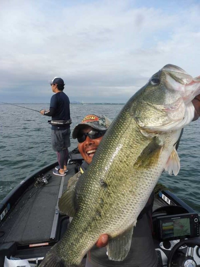 truth  ブログ写真 2017/07/27