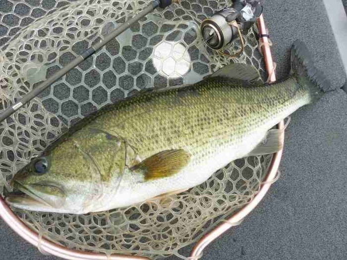 truth  ブログ写真 2017/07/28