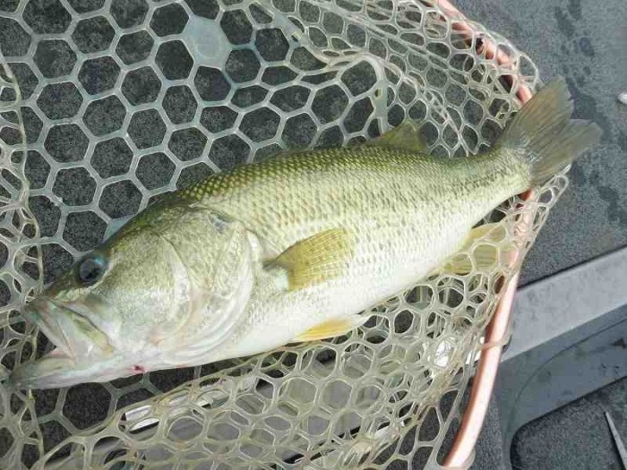 truth  ブログ写真 2017/08/01