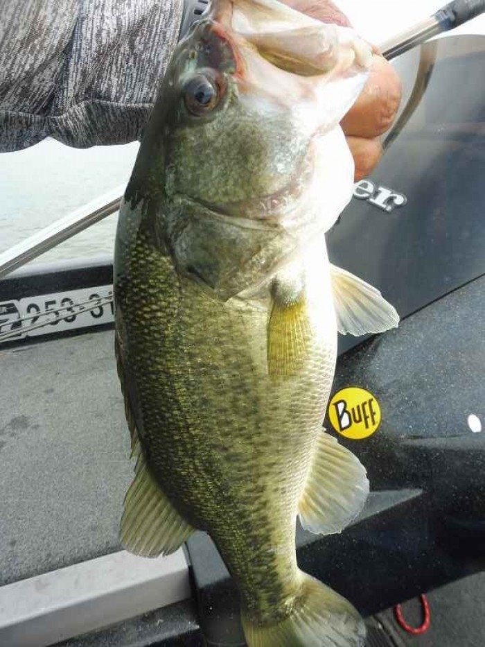 truth  ブログ写真 2017/08/01