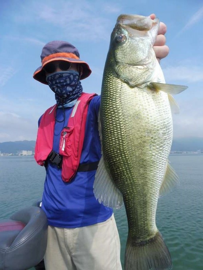 truth  ブログ写真 2017/08/01