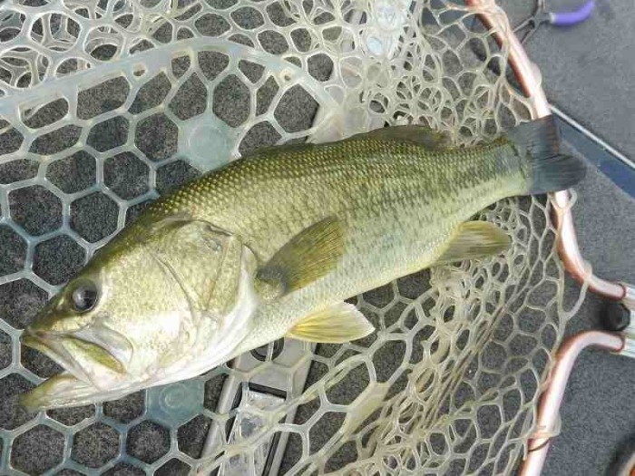 truth  ブログ写真 2017/08/01