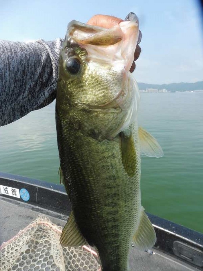 truth  ブログ写真 2017/08/01