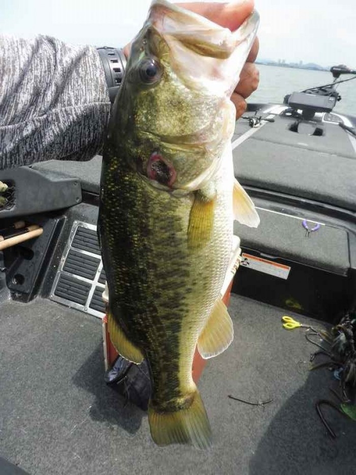 truth  ブログ写真 2017/08/01