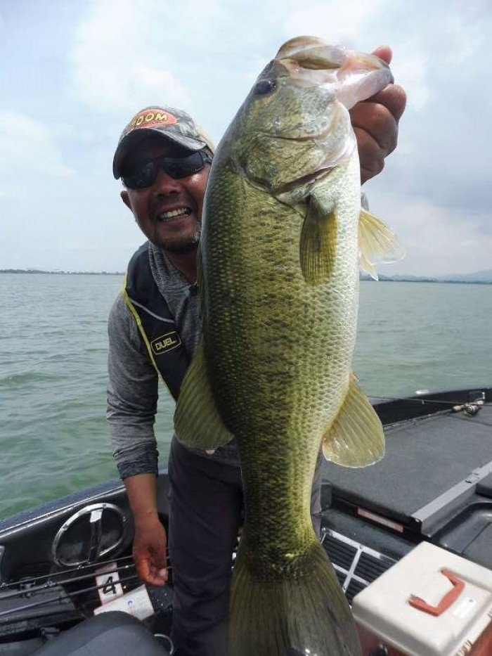 truth  ブログ写真 2017/08/01