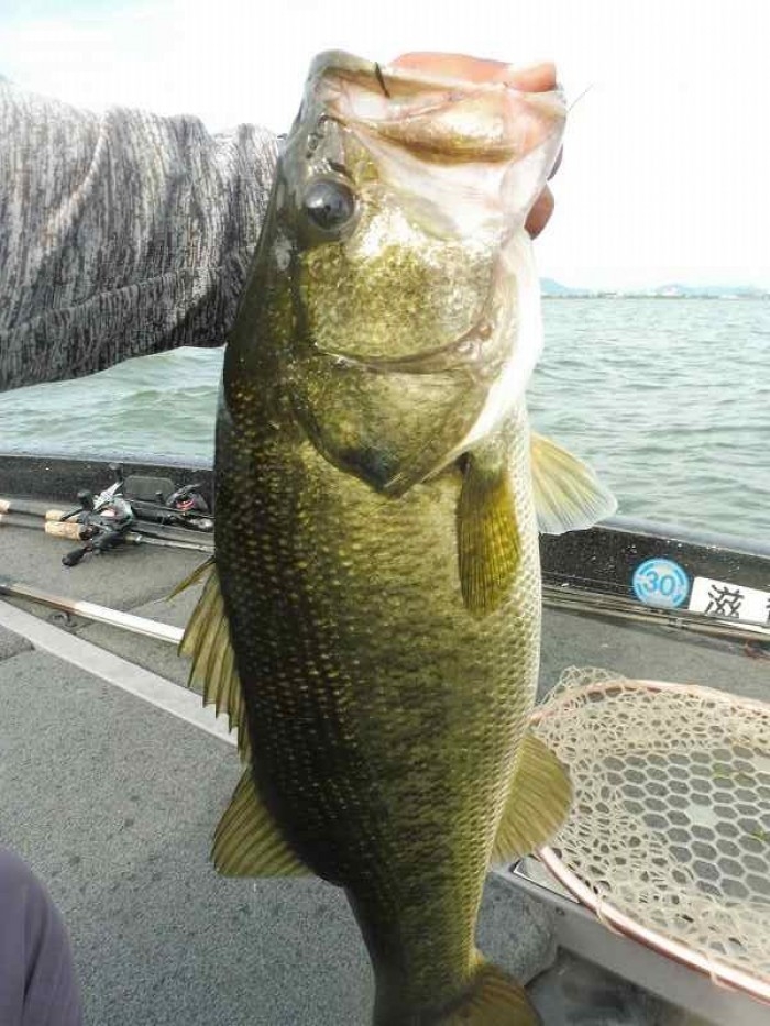 truth  ブログ写真 2017/08/01