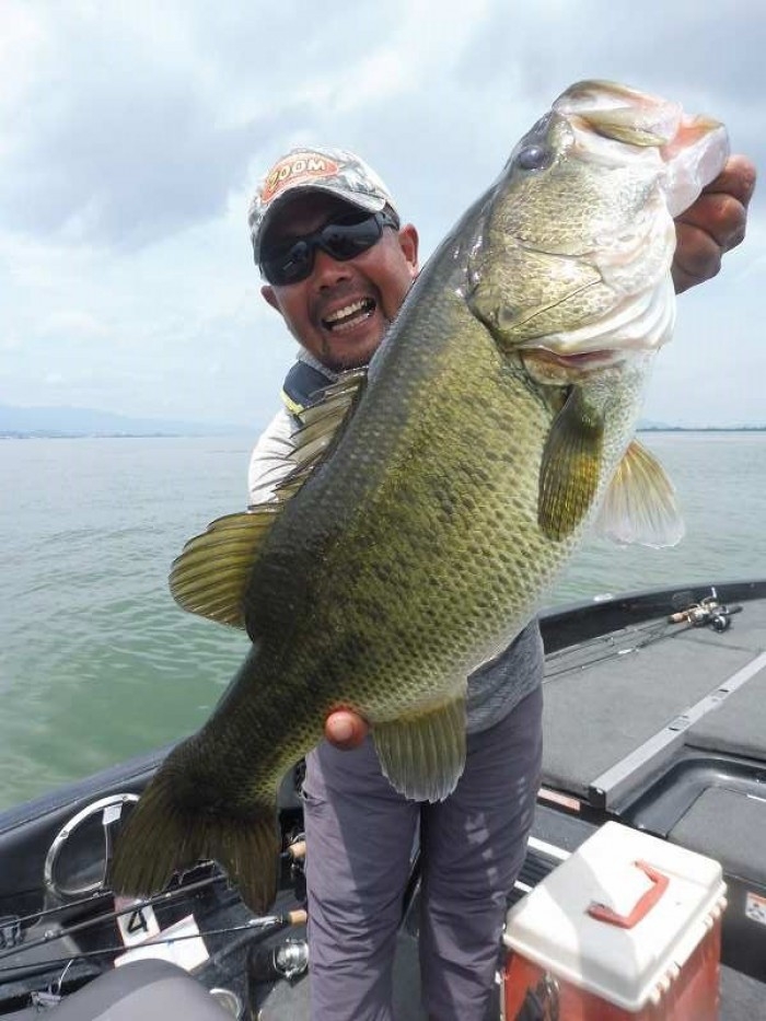 truth  ブログ写真 2017/08/01