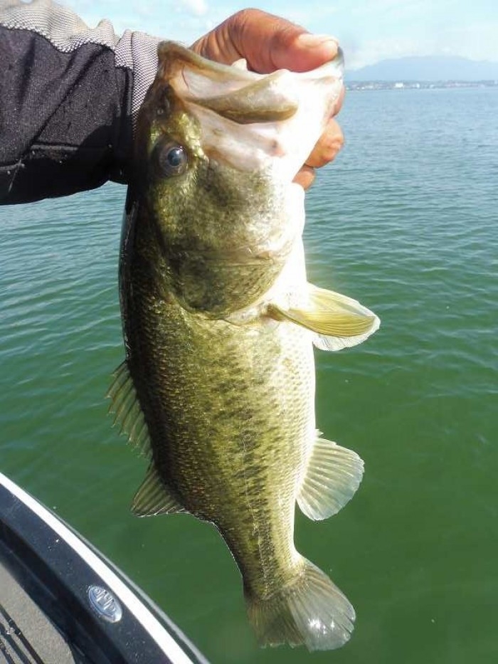 truth  ブログ写真 2017/08/02