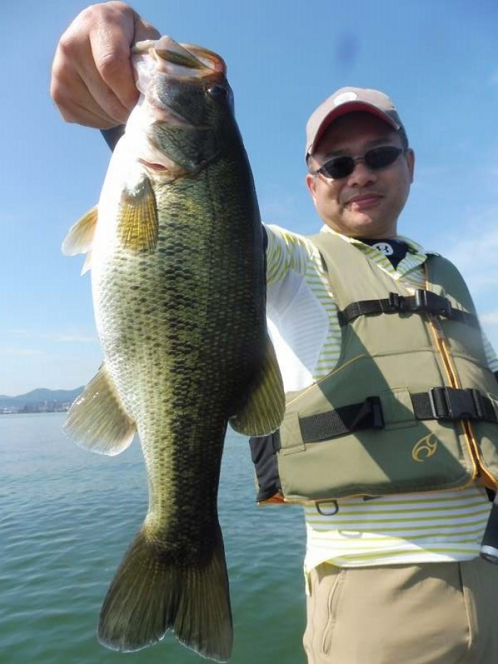 truth  ブログ写真 2017/08/02