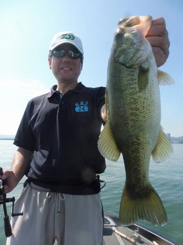 truth  ブログ写真 2017/08/02