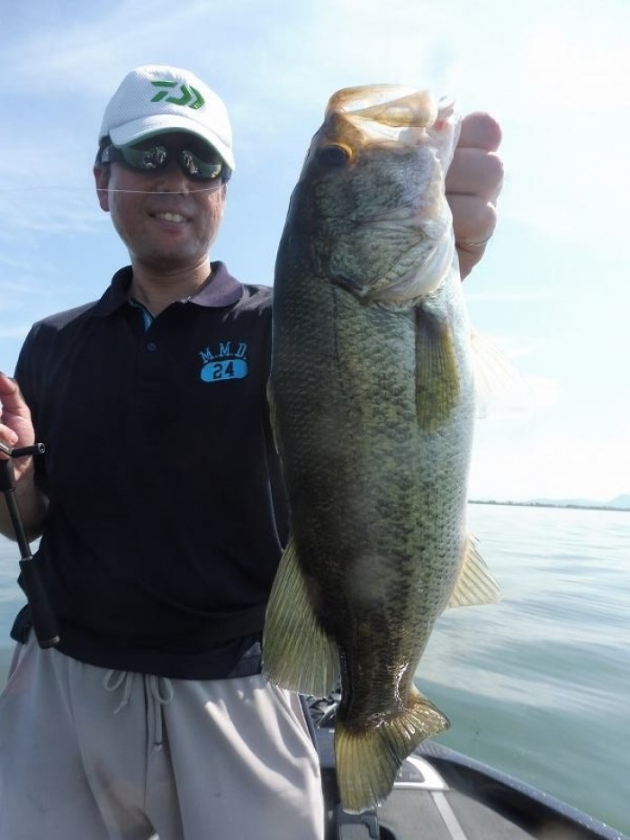 truth  ブログ写真 2017/08/02