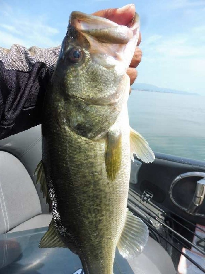 truth  ブログ写真 2017/08/02