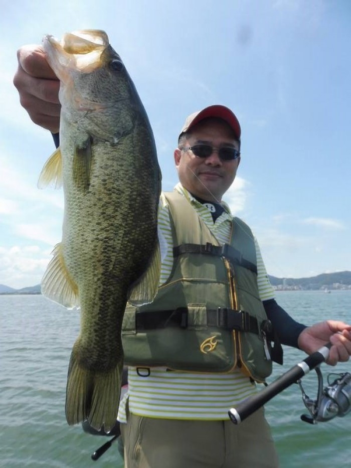 truth  ブログ写真 2017/08/02