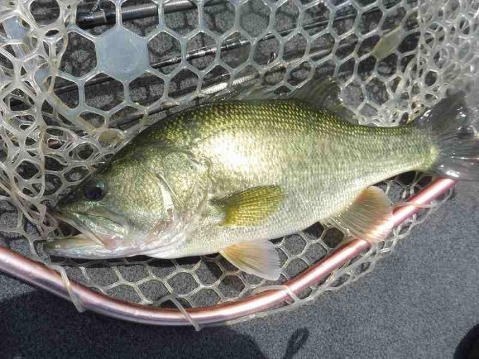 truth  ブログ写真 2017/08/02