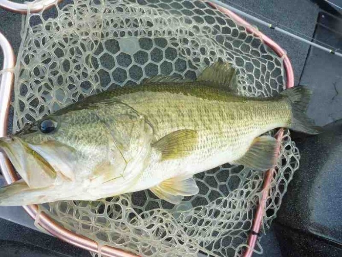 truth  繝悶Ο繧ｰ蜀咏悄 2017/08/02