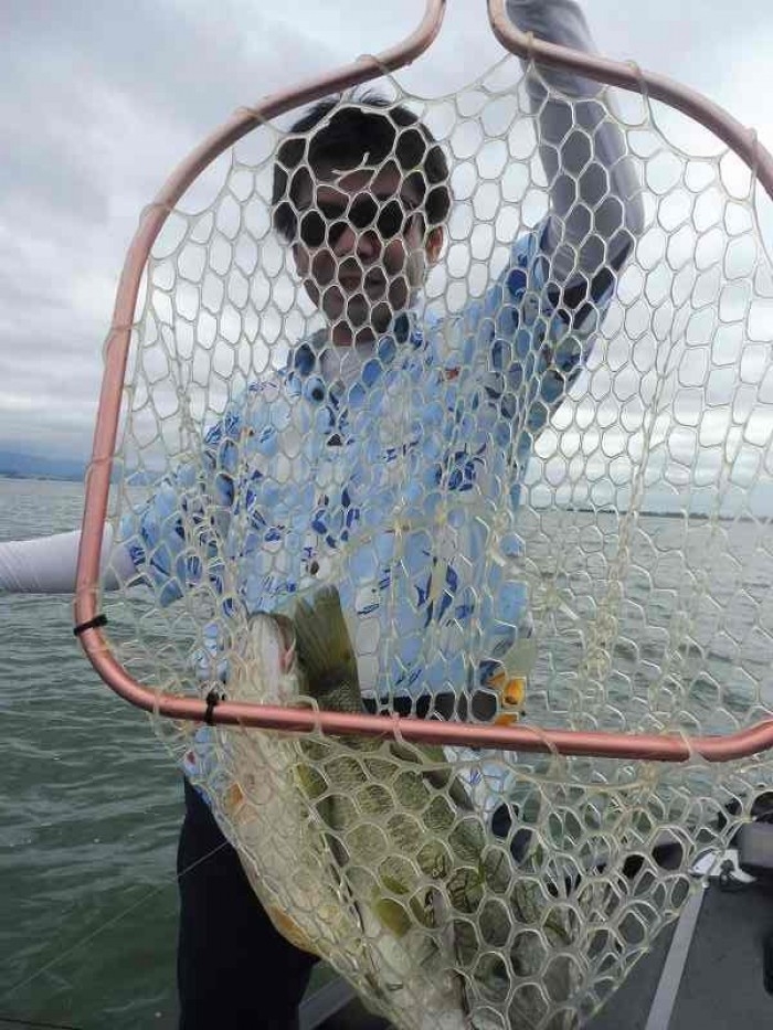 truth  ブログ写真 2017/08/03