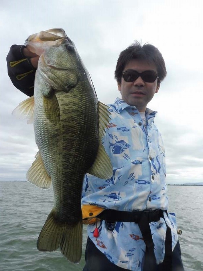 truth  ブログ写真 2017/08/03