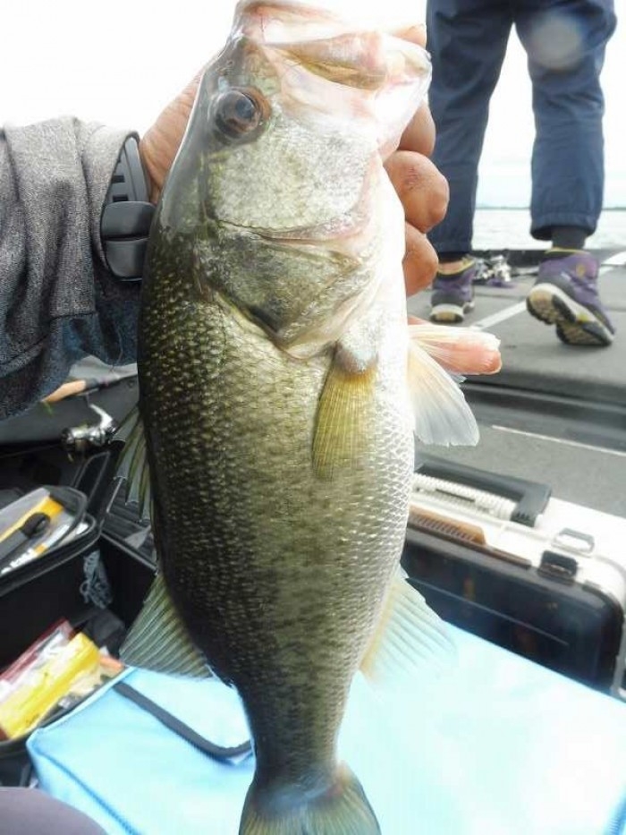 truth  ブログ写真 2017/08/03