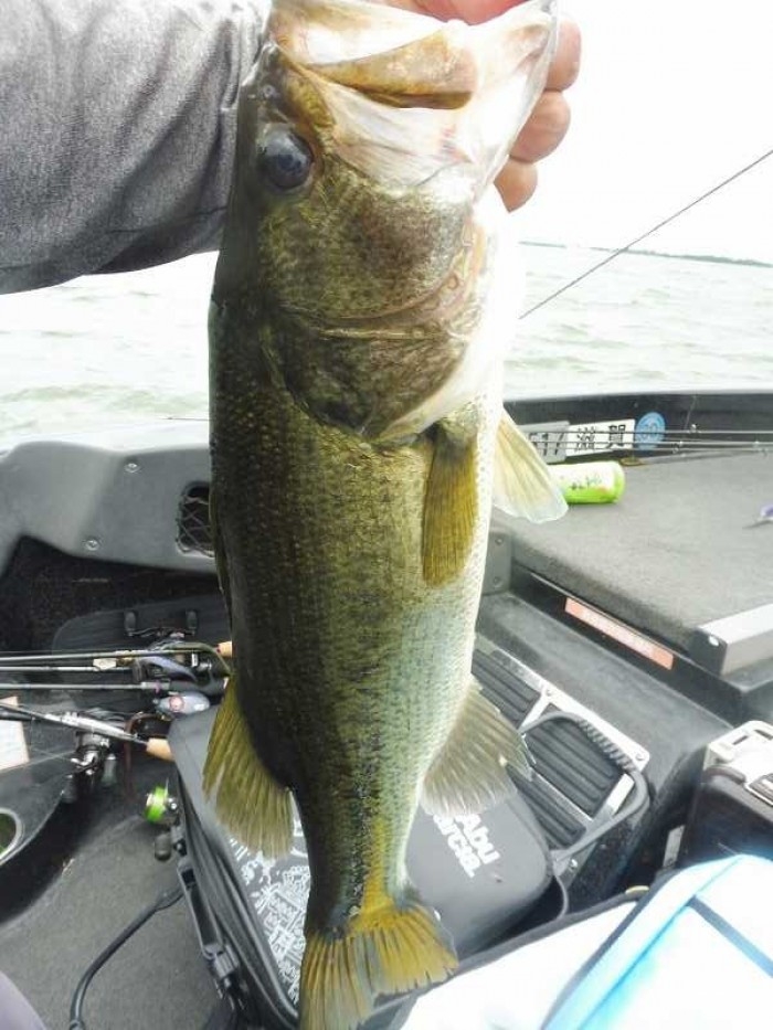 truth  ブログ写真 2017/08/03