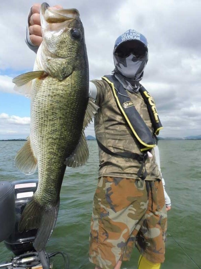 truth  ブログ写真 2017/08/03