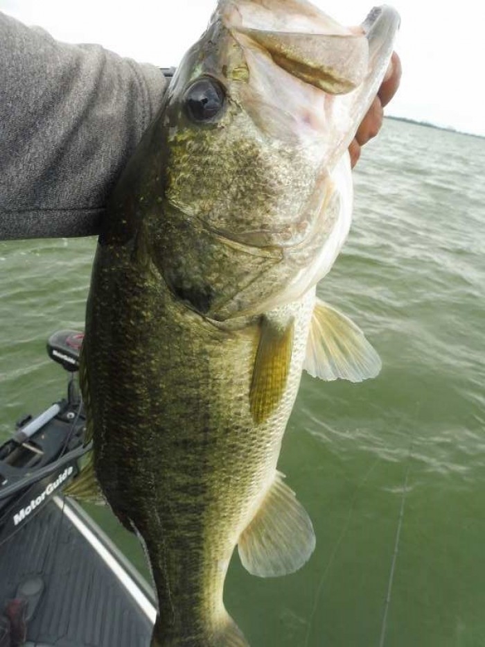 truth  ブログ写真 2017/08/03