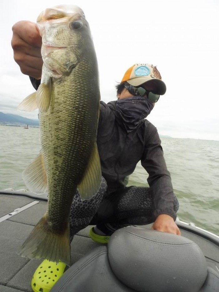 truth  ブログ写真 2017/08/04